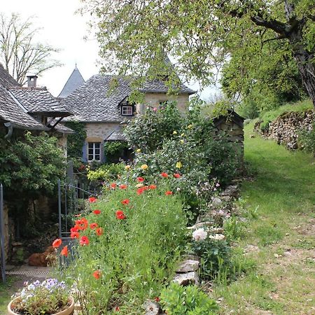 Les Terrasses De Labade Gite Et Chambres D'Hotes Coubisou Εξωτερικό φωτογραφία