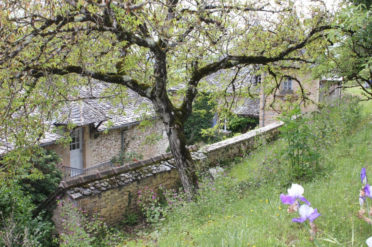 Les Terrasses De Labade Gite Et Chambres D'Hotes Coubisou Εξωτερικό φωτογραφία